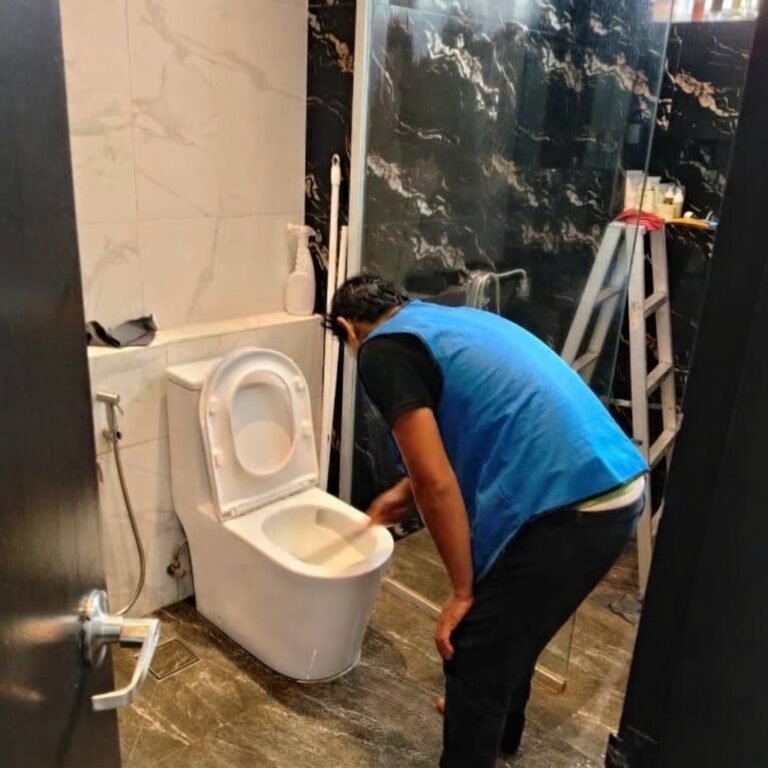 Clean Toilet 1